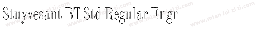 Stuyvesant BT Std Regular Engraved字体转换